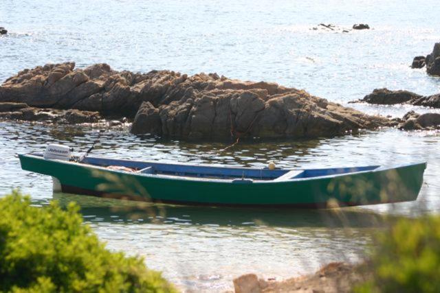 Villa Magnolia Muravera Dış mekan fotoğraf